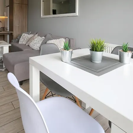 Grey Apartment