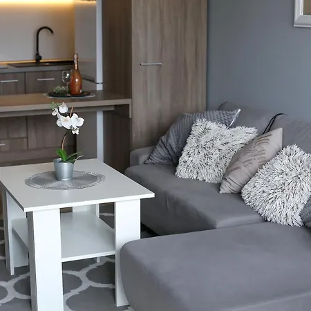 Grey Apartment Mielno (Koszalin)