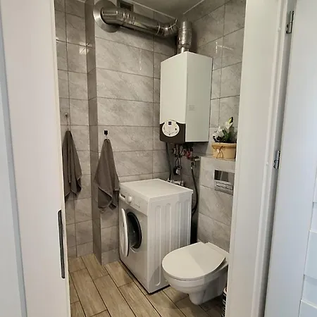 Grey Daire